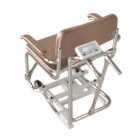 Chair Scale
