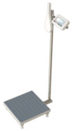Personal scales for men wth electronic measuring system of high
