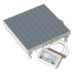 Personal medical scale