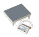 Personal medical scale