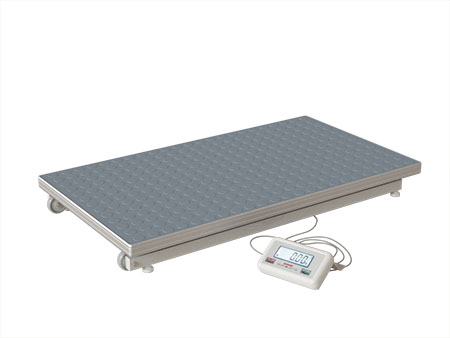 Special weight for weighing patients in wheelchairs WM150P1 50x90Z(med)