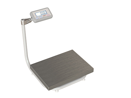 Industrial Scale LWM (2,5-25kg) P3