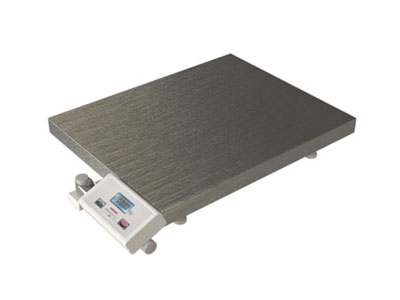 Platform scale WM60P2 40X50S