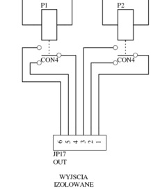 Schemat parametrów wyjść przekaźnikowych
