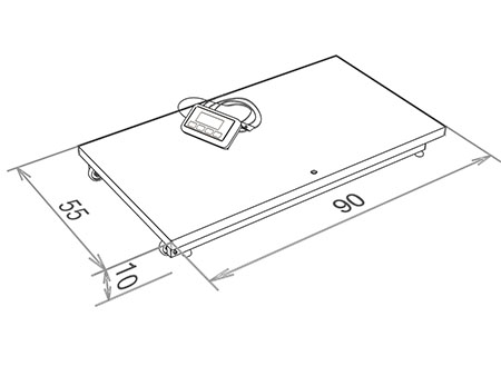 Waga specjalna do ważenia pacjentów na wózkach inwalidzkich WM150P1 50X90Z wymiary